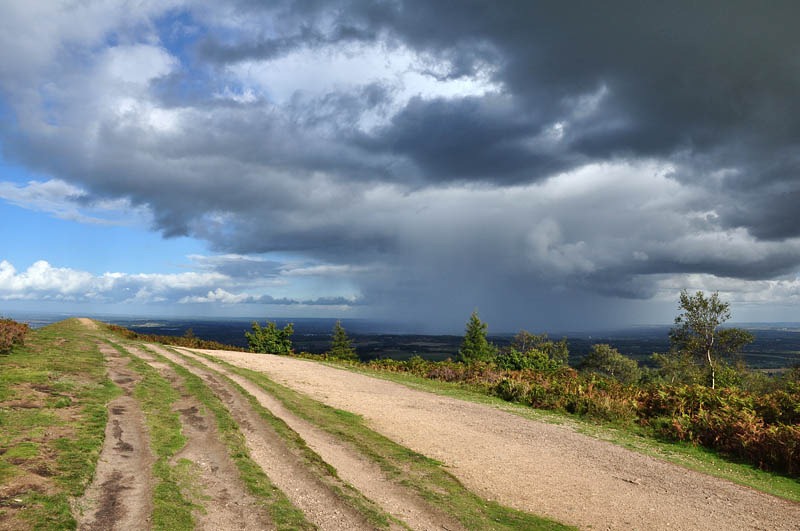 [Passing shower[3].jpg]