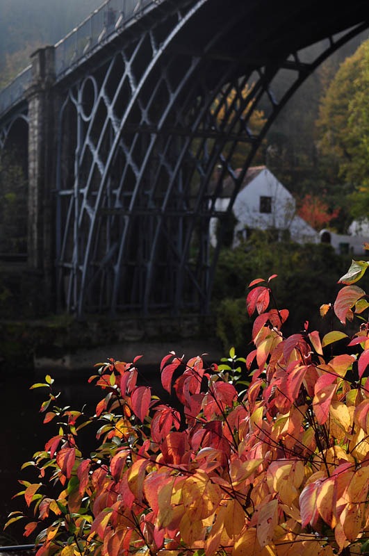 [DSC_7520_sm[3].jpg]