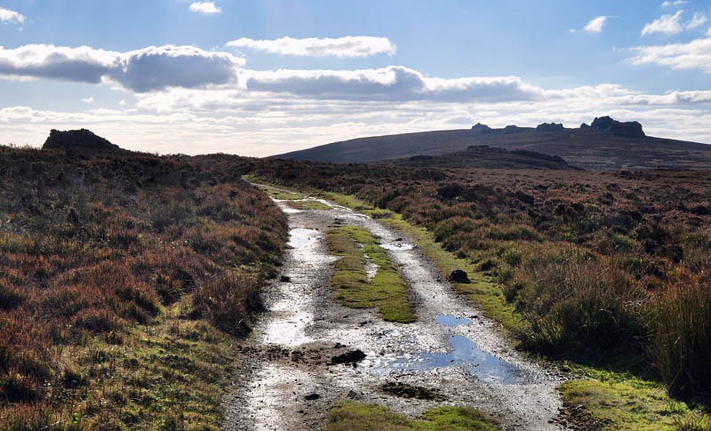 [Stiperstones[3].jpg]