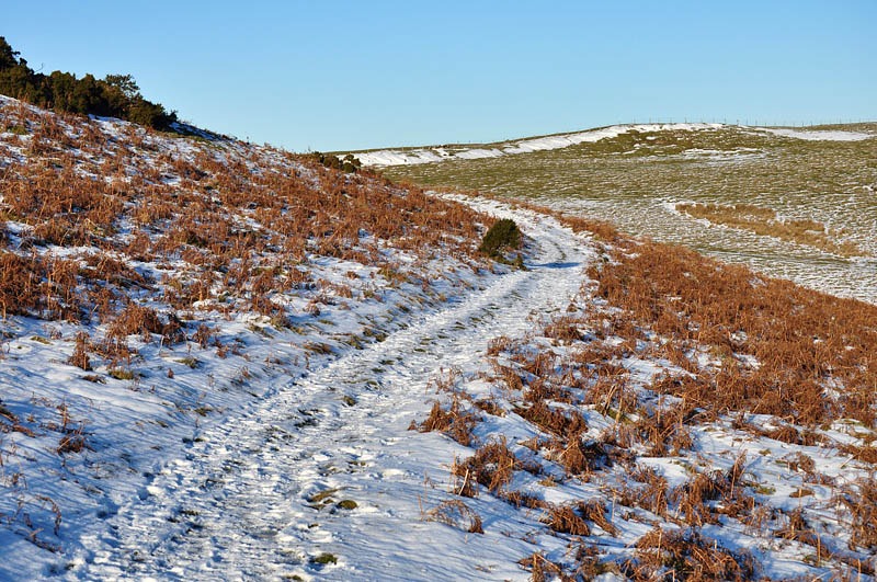 [Lines in the snow[2].jpg]