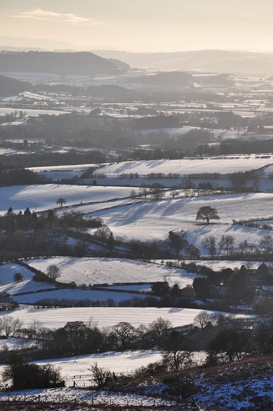 [Layer-cake landscape[2].jpg]