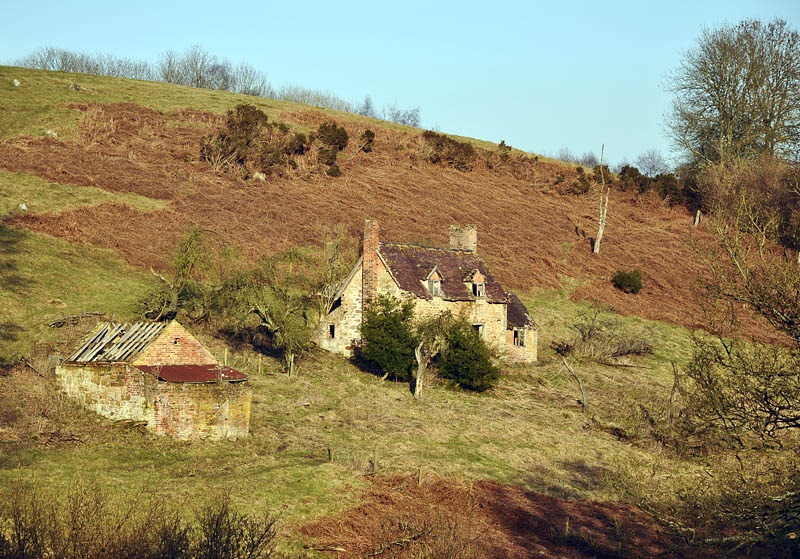 [Dereliction[7].jpg]