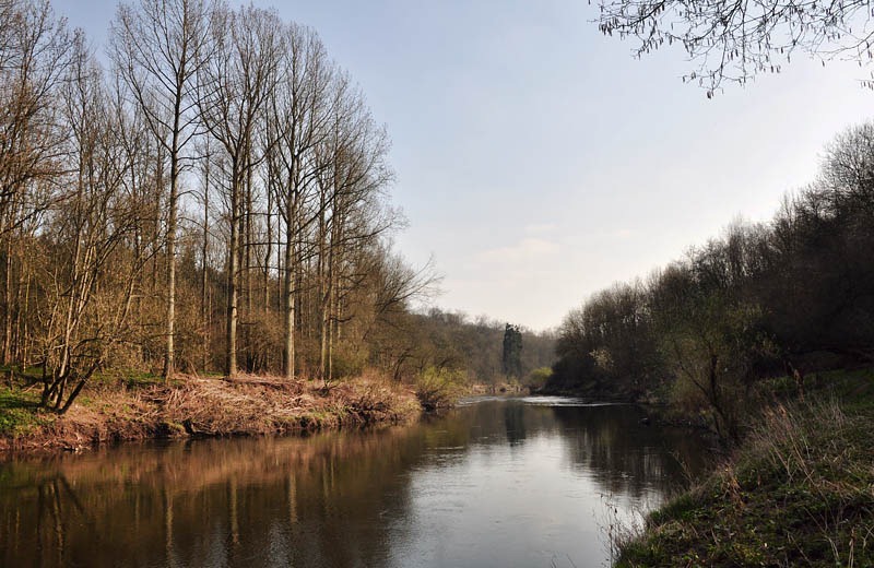 [Severn down[3].jpg]