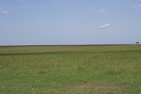 IMGP2433.JPG