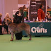 IMG_9243.JPG