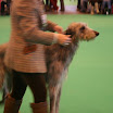 IMG_9262.JPG