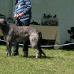 IMG_9540.JPG
