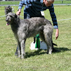 IMG_9551.JPG