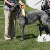 IMG_9552.JPG