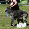 IMG_9553.JPG