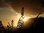 DSC04047.JPG