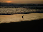 DSC04054.JPG