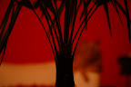 DSC_0012.JPG