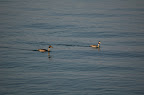 DSC_0139.jpg DSC_0139.jpg