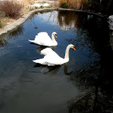 The Zoo Trip