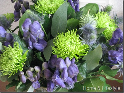 Home & Lifestyle Home & Lifestyle