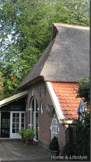 Home & Lifestyle Home & Lifestyle