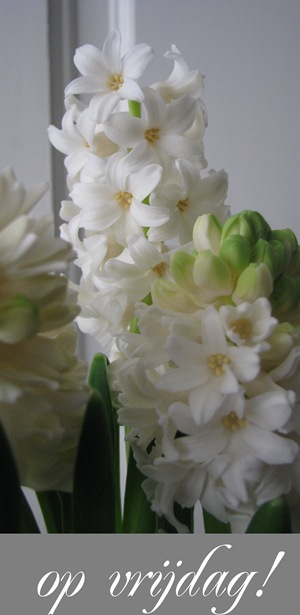 IMG_2222b IMG_2222b