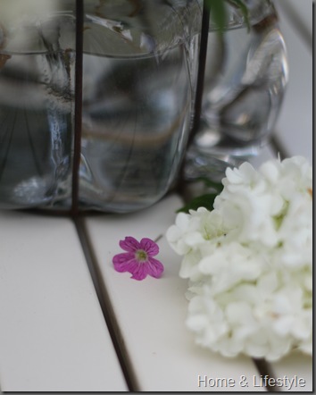 Home & Lifestyle IMG_0871