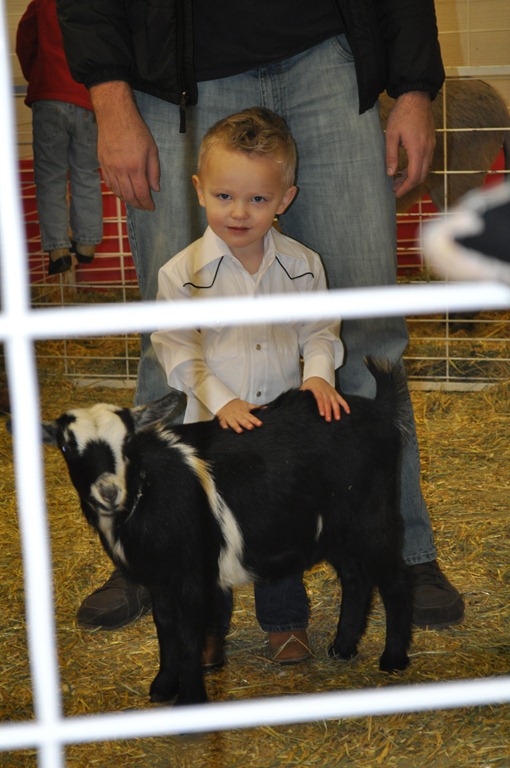 [DSC_0232[6].jpg]