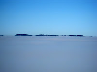 IMG_2928.JPG