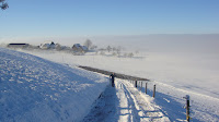 DSC00175.JPG
