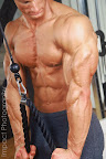Dan Decker Fitness Model Bodybuilder