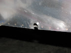 20090610a.jpg