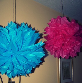 pom1