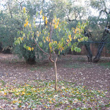 IMG_0630.JPG