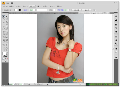 Adobe Illustrator CS4 - 主界面 点击放大
