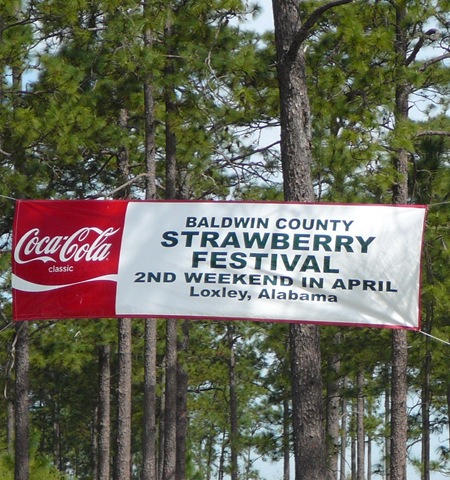 [Strawberry Festival 2010[3].jpg]