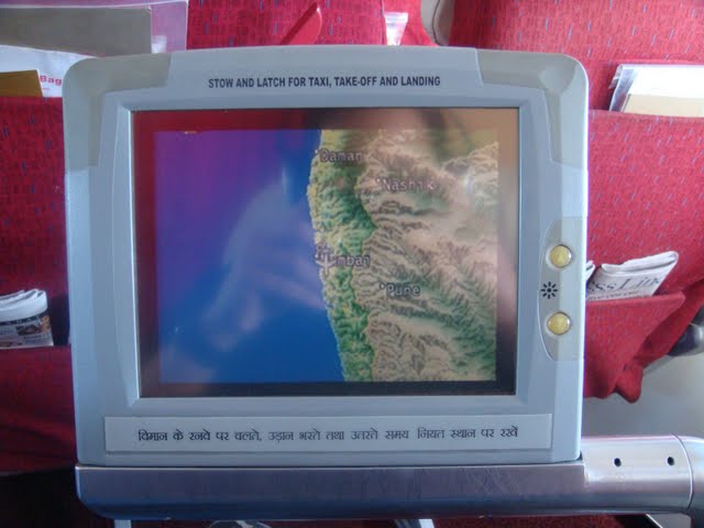 [Image: kingfisher%20ife.JPG]