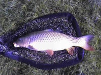 12-05-07_0917.jpg