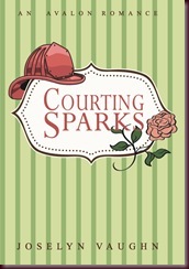 MEDIA KIT Book Cover