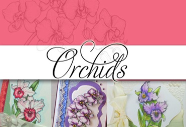 Orchids Graphic copy