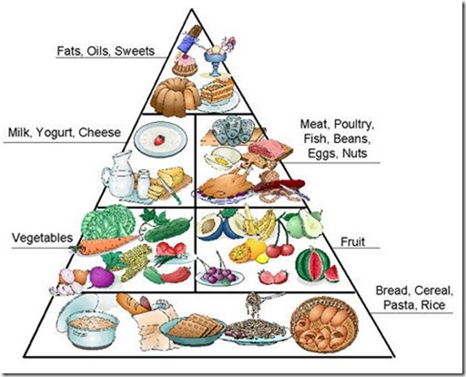 the food guide pyramid