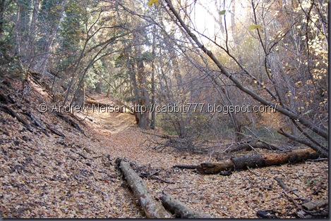 DSC_0290 DSC_0290