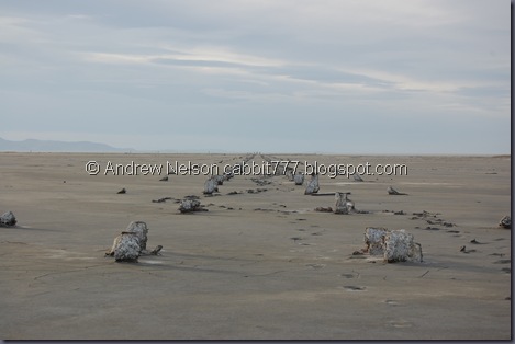 DSC_0506 DSC_0506