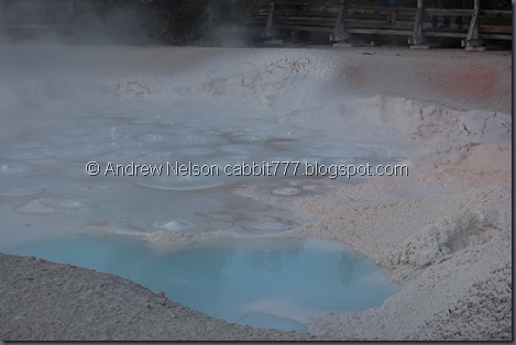 DSC_0660 DSC_0660