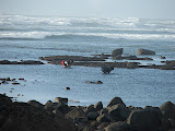 DSCF4040.JPG