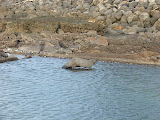 DSCF4036.JPG
