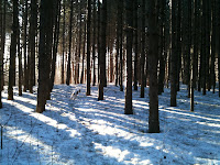 IMG_0386.JPG Photo