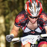 DM2010-384.jpg
