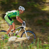 DM2010-396.jpg