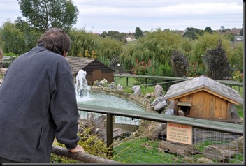 Dr Ian Green looking into Otter enclosure (resized) Sept 10