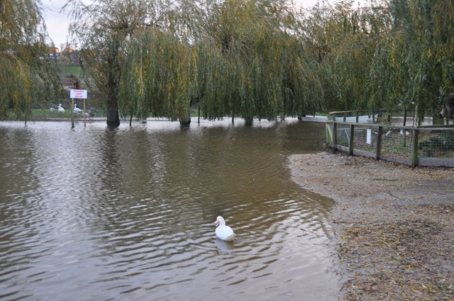[Flooding lower lake 8 Nov 10[12].jpg]