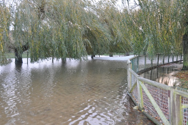 [Flooding at lower lake Nov 2010[10].jpg]
