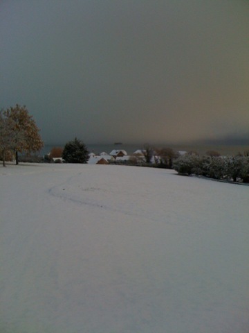 [View across meadow to Solent in snow[9].jpg]