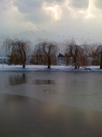 [Winter scene at lower lake[9].jpg]